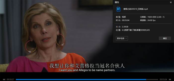 《傲骨之战/The Good Fight》主演全5季高清/原声中字/视频合集网盘下载