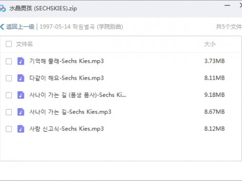 水晶男孩（Sechskies  젝스키스）17张专辑歌曲MP31.32GB（百度网盘在线下载）